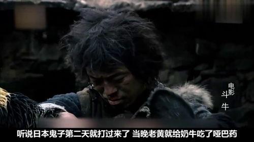 牛电影在线观看,畅享云端影视盛宴