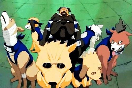 火影忍者帕克最新爆料1,帕克最新爆料揭秘宇智波斑惊天秘密